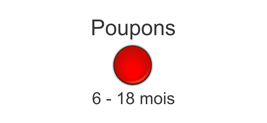 Les routines et transitions avec nos poupons